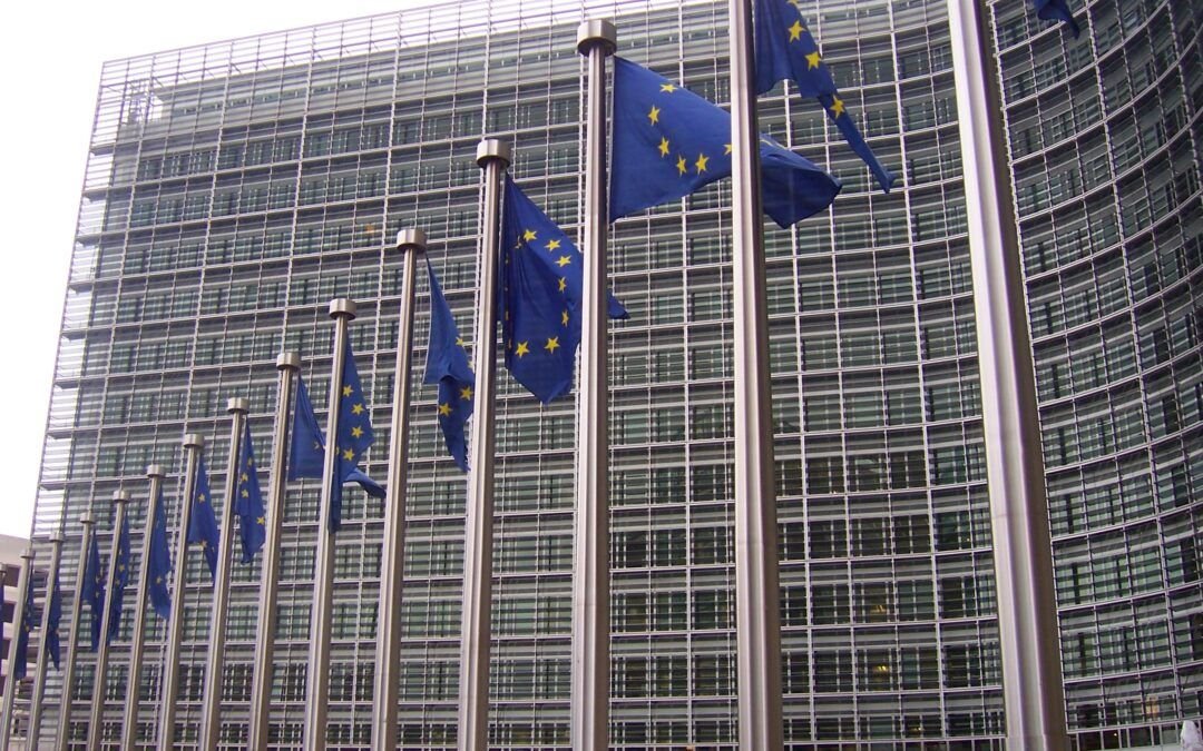 Asuntos públicos y lobby en Europa